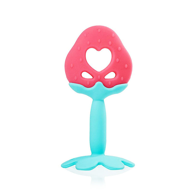 100% Silicone Baby Fruit Teether